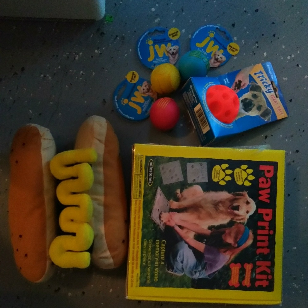Dog